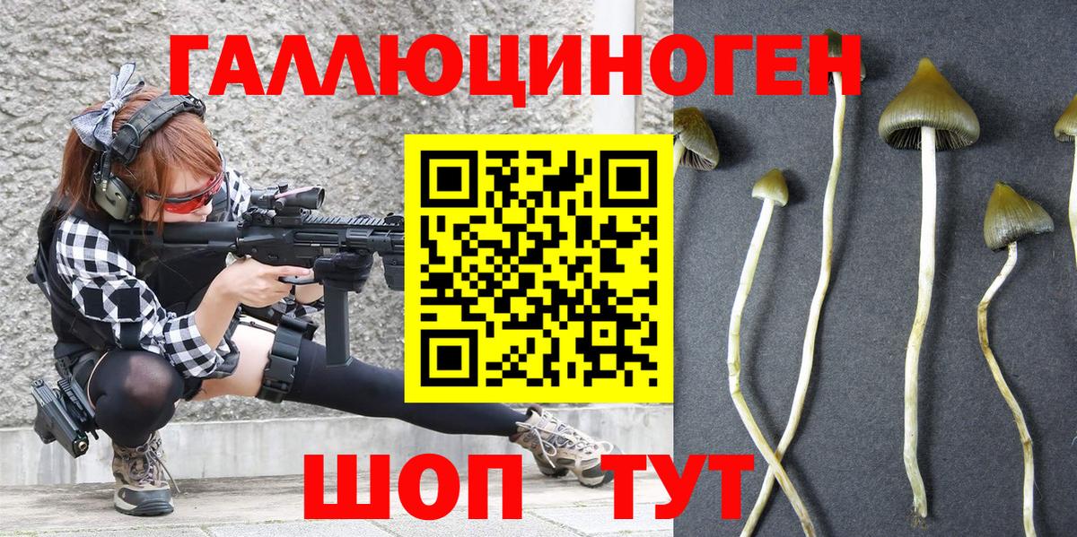 Батайск  Галлюциногенные грибы Psilocybine cubensis  Вход с VPN 